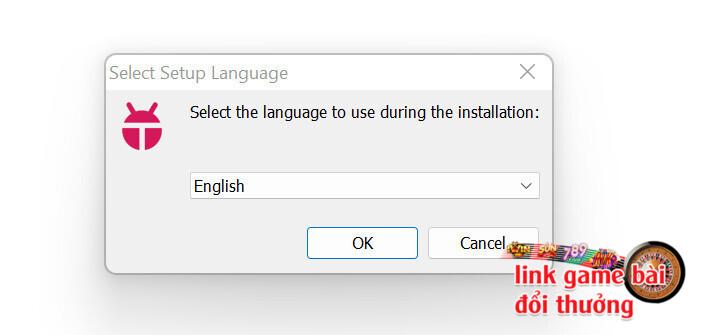 Nhấn “Ok” để xác nhận ngôn ngữ hệ thống bạn lựa chọn